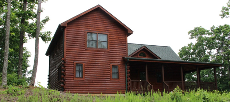 Professional Log Home Borate Application  Falls Church City, Virginia
